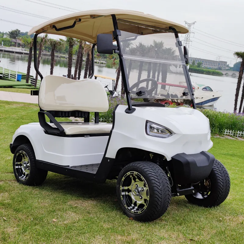 Carrinho de golfe elétrico F4GF20A — 2 lugares